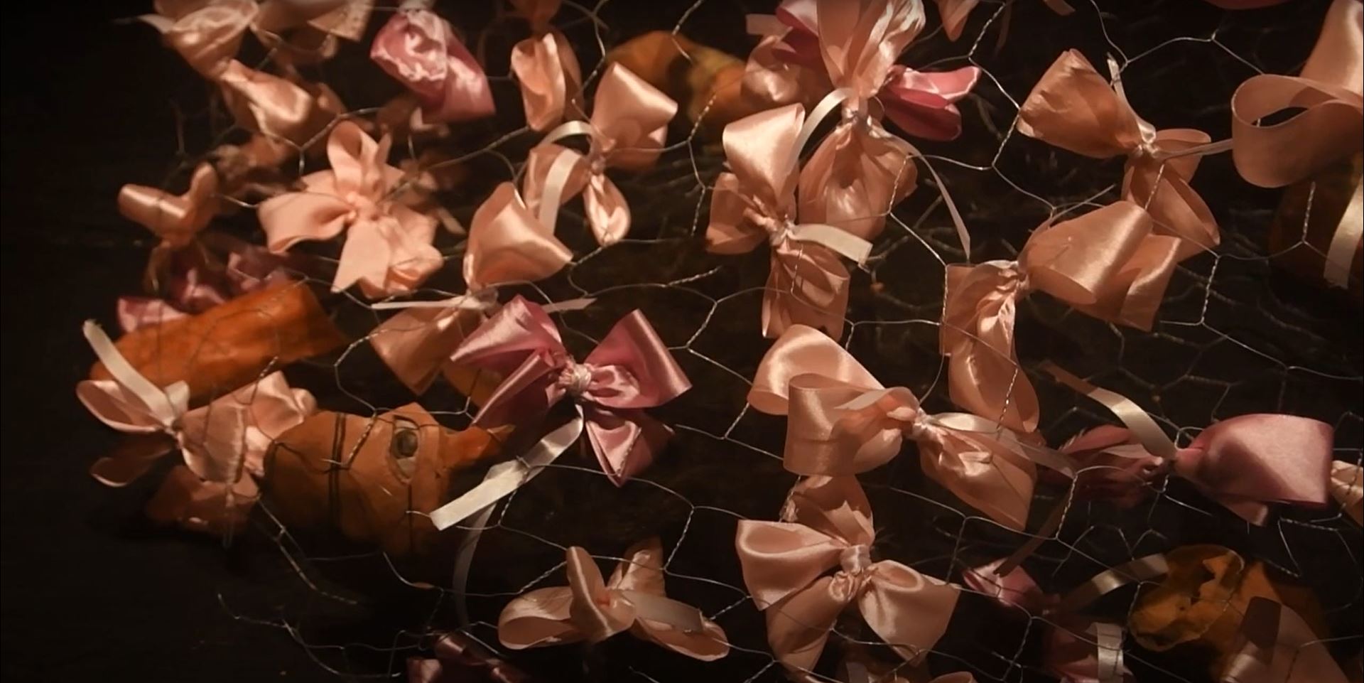 Still from Minha avó foi pega a laço showing ribbons tied to a wire mesh.