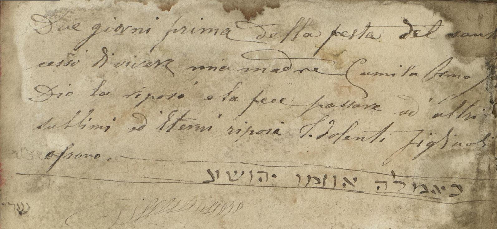 Death record of Camila Osmo Gesua in Italian inscribed by her son.