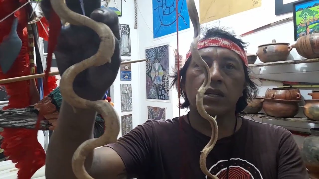 Video in which Jaider Esbell talks about contemporary Indigenous art and his project of creating the Jaider Esbell Gallery.